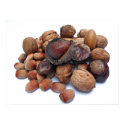 Autumn Fruits posters by patrickrp Autumn Fruits posters
