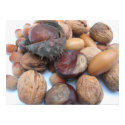 Autumn Fruits posters by patrickrp Autumn Fruits posters