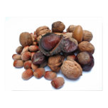 Autumn Fruits Poster