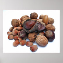 Autumn Fruits Poster