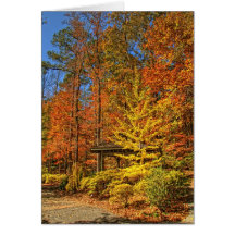Autumn Gazebo Cards