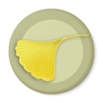 Autumn Ginkgo Leaf Magnet