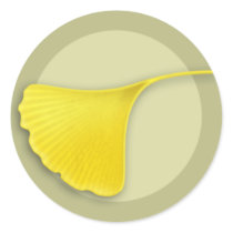 Autumn Ginkgo Leaf Round Sticker by jamieco Autumn Ginkgo Leaf Round Sticker