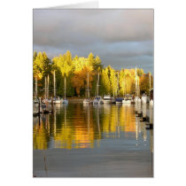 Autumn Glory cards