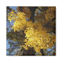 autumn glory magnets