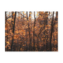 Autumn Glory postcards