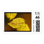 Autumn Gold 06 Postage Stamp