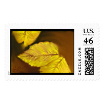Autumn Gold 06 Postage Stamp