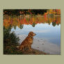 Autumn Gold