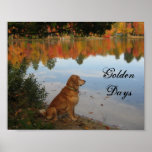 Autumn Gold Poster