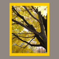 Autumn Gold posters by Jack_of_Arts Autumn Gold posters