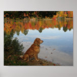 Autumn Gold Print
