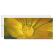 Autumn Gold rack cards by pamelajayne Autumn Gold rack cards