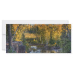 Autumn Gold Customized Rack Card