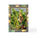 Autumn Goldfinch & Crabapples Notecard