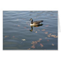 Autumn Goose card by serenity_ii Autumn Goose card