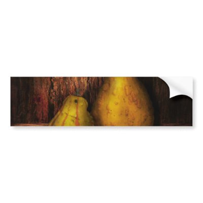Autumn - Gourd - A pair of squash  Bumper Stickers by suburbanscenes