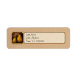 Autumn - Gourd - A pair of squash  Custom Return Address Labels