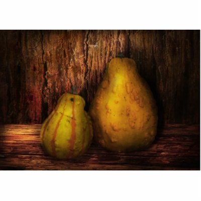 Autumn - Gourd - A pair of squash  Acrylic Cut Outs by suburbanscenes