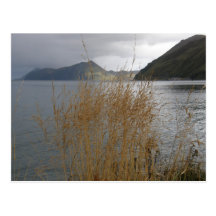 Autumn Grass by Illiuliuk Bay Post Card