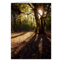 Autumn | greeting card