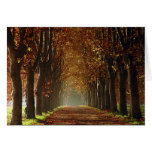 autumn greeting cards