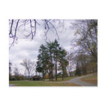 Autumn Greeting & Postcards
