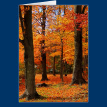 Autumn Greetings Card cards