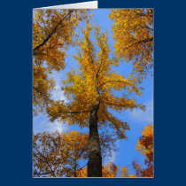 Autumn Greetings Card cards