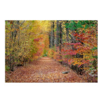 Autumn Hallway posters