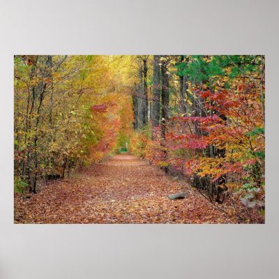 Autumn Hallway Posters by signore