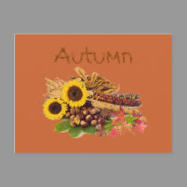 Autumn Harvest postcards