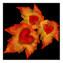Autumn Hearts Print by Jaenne Autumn Hearts Print