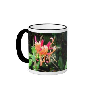 Autumn Honeysuckle ~ mug mug