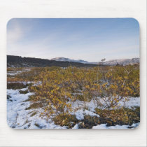 Autumn in Þingvellir mousepads