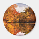 Autumn - In a dream I had Fridge Magnet