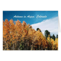 Autumn in Aspen Card