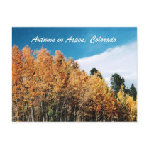 Autumn in Aspen Post Cards