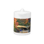 Autumn in Central Park: Boaters by Bow Bridge  #01