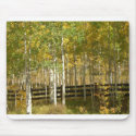 Autumn in Colorado mousepads