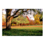 Autumn in Connecticut