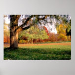 Autumn in Connecticut Print