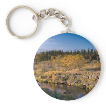 Autumn in Iceland keychains