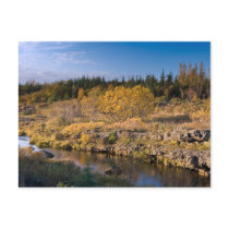 Autumn in Iceland postcards