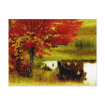 Autumn in Kentucky postcards