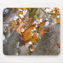 Autumn in Louisiana Mousepad