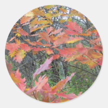 Autumn In Maine Round Sticker
