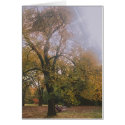 Autumn in Melbourne cards