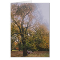Autumn in Melbourne cards by grahamunderhill Autumn in Melbourne cards