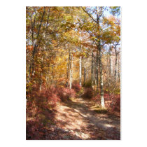 Autumn in New England 21 ~ ATC business cards